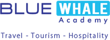 More about Blue Whale Academy